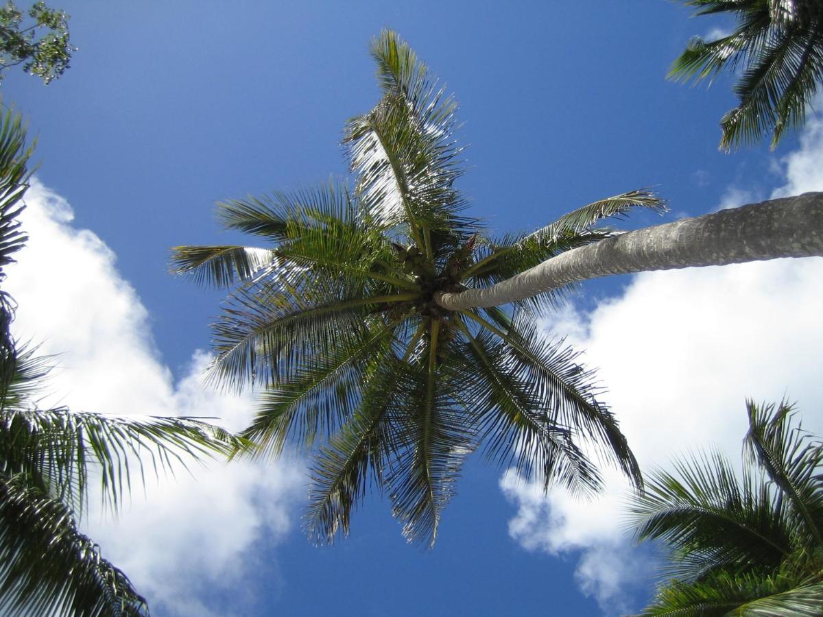 Palm-Covered House In The Tropical -Casa Oli ลาส กาเลราส ภายนอก รูปภาพ