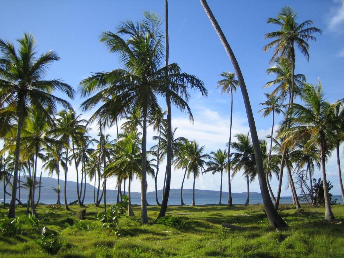 Palm-Covered House In The Tropical -Casa Oli ลาส กาเลราส ภายนอก รูปภาพ