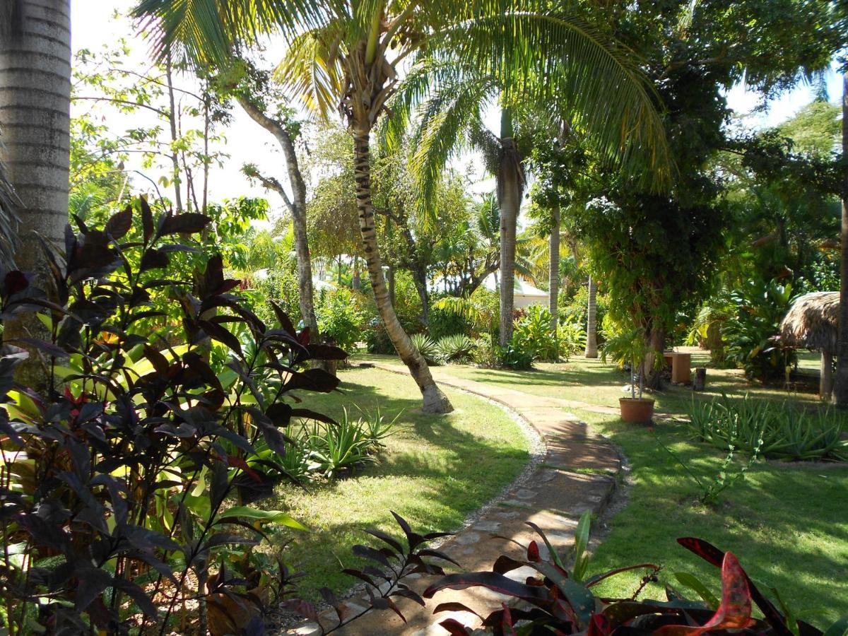 Palm-Covered House In The Tropical -Casa Oli ลาส กาเลราส ภายนอก รูปภาพ